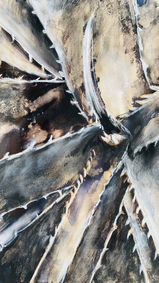 Resilient Geometry Aloe by Tanja van Biljon - ink and Jik mixed media